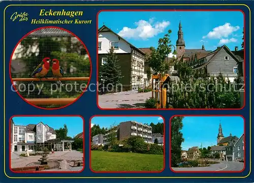 AK / Ansichtskarte Eckenhagen Papageien Kirche Stadtansichten Eckenhagen