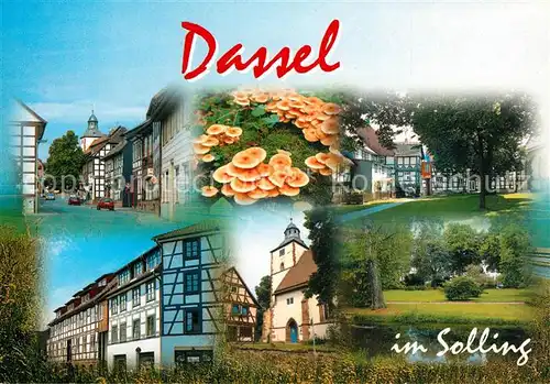 AK / Ansichtskarte Dassel_Solling Fachwerkhaeuser Rathaus Dassel Solling