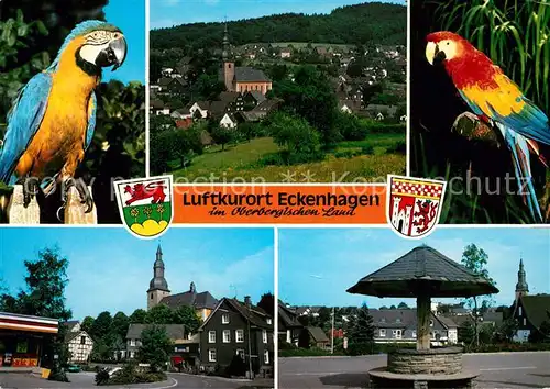 AK / Ansichtskarte Eckenhagen Papageien Kirche Panorama Eckenhagen