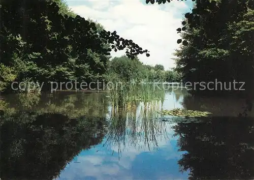 AK / Ansichtskarte Dietzenbach Wollwiesenteich Dietzenbach