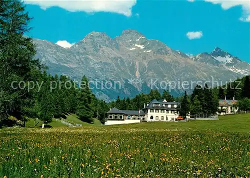 AK / Ansichtskarte St_Moritz_GR Hotel Restaurant Meierei Blumenwiese Alpen St_Moritz_GR