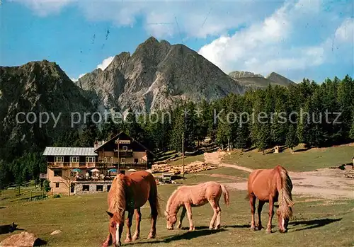 AK / Ansichtskarte Hafling Albergo Rosa Alpina Haflinger Pferde Hafling