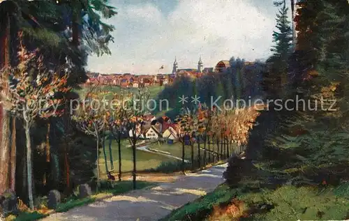 AK / Ansichtskarte Freudenstadt Panorama  Freudenstadt