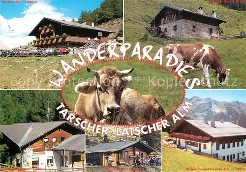 AK / Ansichtskarte Latsch_Vinschgau Wanderparadies Tarscher Latscher Alm Bergrestaurant Alpen Almvieh Kuehe Latsch Vinschgau