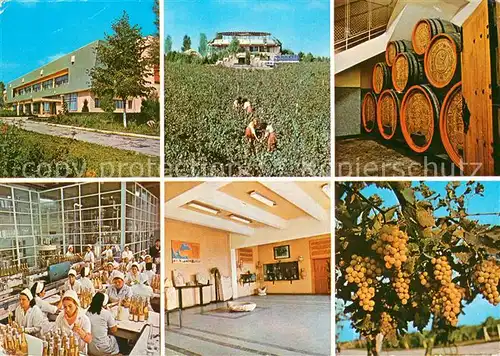 AK / Ansichtskarte Murfatlar Des vues de la station experimentale viticole 