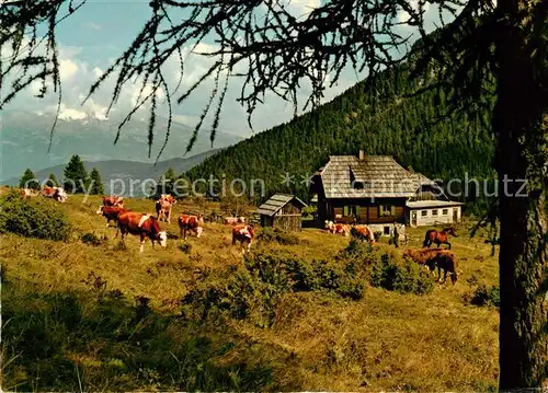 AK / Ansichtskarte Weissensee_Kaernten Alm hinter m Brunn Kuehe Weissensee Kaernten