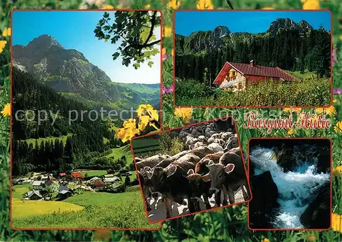 AK / Ansichtskarte Baad_Mittelberg_Kleinwalsertal Baergunt Huette Baad_Mittelberg