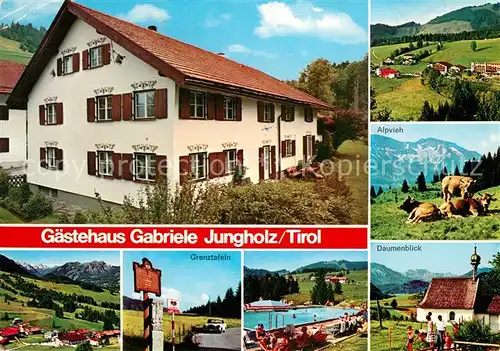 AK / Ansichtskarte Jungholz_Tirol Gaestehaus Gabriele Panorama Alpvieh Grenztafeln Daumenblick Jungholz Tirol