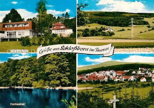 AK / Ansichtskarte Schlossborn Fischweiher Haus am Wald Panoramen Schlossborn