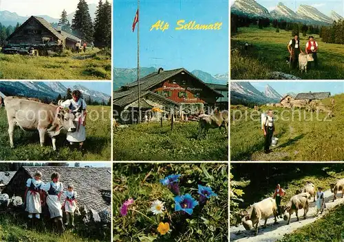 AK / Ansichtskarte Alt_St_Johann Auf Sellamatt mit Alpfahrt Alt_St_Johann