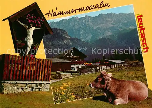 AK / Ansichtskarte Leutasch Haemmermoosalm im Gaistal Leutasch