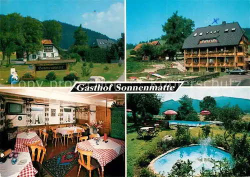 AK / Ansichtskarte Titisee Gasthof Pension Sonnenmatte Springbrunnen Swimming Pool Schwarzwald Titisee