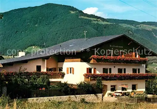 AK / Ansichtskarte Natz_Brixen_Suedtirol Gaestehaus Pension Haus Birkenbrunn Natz_Brixen_Suedtirol