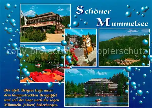 AK / Ansichtskarte Mummelsee Bootsanlegestelle Restaurant Hotel Mummelsee