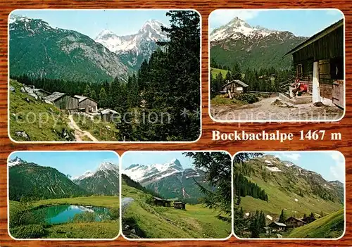 AK / Ansichtskarte Lechtal Vorderbockbachalpe Birchetsgump Lechtal