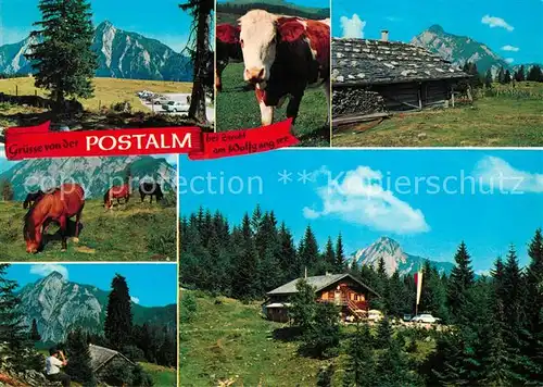 AK / Ansichtskarte Strobl_Wolfgangsee Postalm Kuh Pferde  Strobl Wolfgangsee