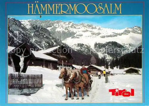 AK / Ansichtskarte Leutasch Haemmermoosalm Pferdeschlitten Winter Leutasch