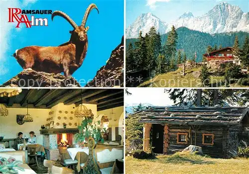 AK / Ansichtskarte Ramsau_Dachstein_Steiermark Ramsauer Alm Alpenrestaurant Steinbock  Ramsau_Dachstein