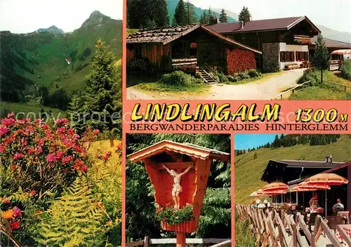 AK / Ansichtskarte Hinterglemm_Saalbach Lindlingalm Hinterglemm_Saalbach