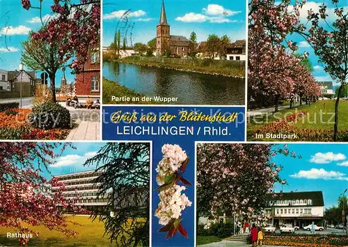AK / Ansichtskarte Leichlingen_Rheinland Wupperpartie Rathaus Stadtpark Leichlingen_Rheinland