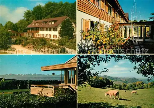 AK / Ansichtskarte Wisen Blaukreuzheim Hupp Kuehe Wisen