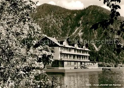 AK / Ansichtskarte Plansee Hotel Forelle Plansee