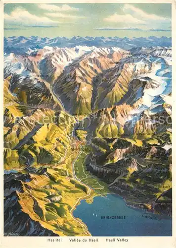 AK / Ansichtskarte Meiringen_Hasliberg Panoramakarte mit Brienzersee und Haslital Meiringen Hasliberg
