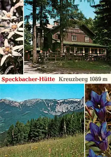 AK / Ansichtskarte Speckbacherhuette_Kreuzberg Panorama Alpenflora Speckbacherhuette