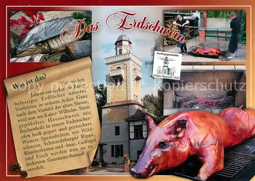 AK / Ansichtskarte Bad_Schmiedeberg Der Kaiser Wilhelm Turm Das Erdschwein Chronik Bad_Schmiedeberg