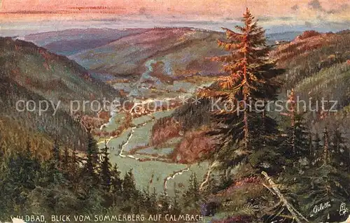 AK / Ansichtskarte Verlag_Tucks_Oilette_Nr. 738 Wildbad Blick vom Sommerberg auf Calmbach Verlag_Tucks_Oilette_Nr.