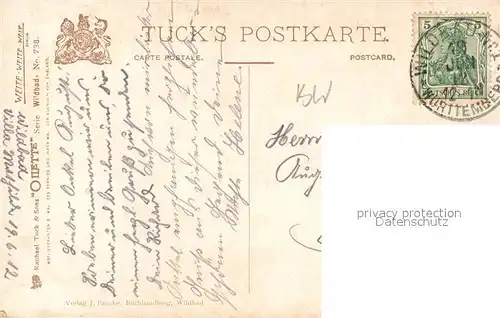 AK / Ansichtskarte Verlag_Tucks_Oilette_Nr. 738 Wildbad Blick vom Sommerberg auf Calmbach Verlag_Tucks_Oilette_Nr.