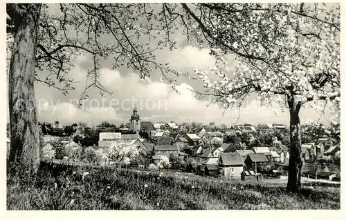 AK / Ansichtskarte Vielbrunn Ortsansicht Hoehenluftkurort mit Kirche Baumbluete Vielbrunn