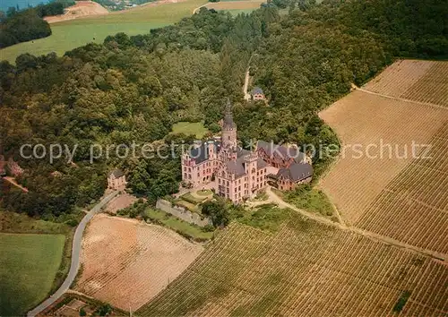 AK / Ansichtskarte Bad_Hoenningen Fliegeraufnahme Schloss  Bad_Hoenningen