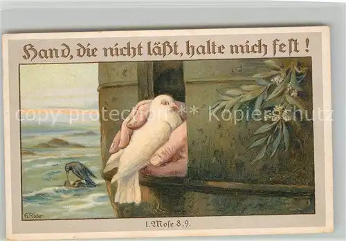 AK / Ansichtskarte Tauben Kuenstlerkarte G. Roeder Litho  Tauben