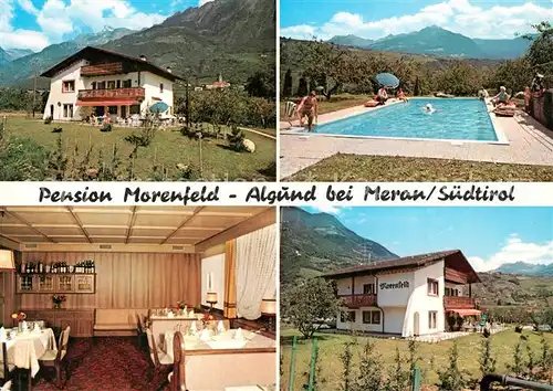 AK / Ansichtskarte Algund_Merano Pension Villa Morenfeld Swimming Pool Landschaftspanorama Alpen Algund Merano