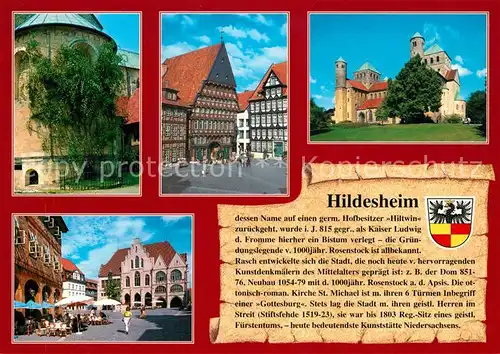 AK / Ansichtskarte Hildesheim Dom 1000jaehriger Rosenstock Knochenhaueramtshaus Rathaus Hildesheim
