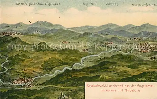 AK / Ansichtskarte Bodenmais und Umgebung Panoramakarte Bodenmais