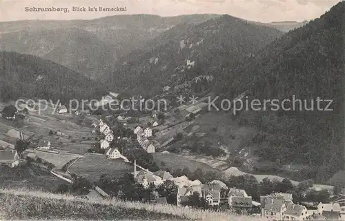 AK / Ansichtskarte Schramberg Blick ins Bernecktal Schramberg