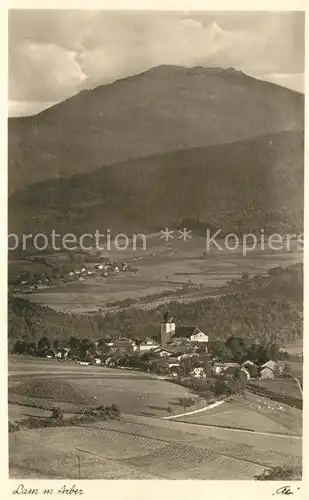 AK / Ansichtskarte Lam_Oberpfalz Arber Lam_Oberpfalz