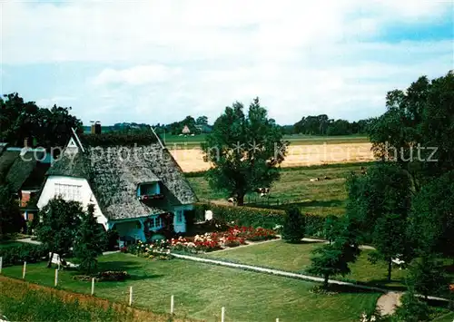 AK / Ansichtskarte Kollmar_Holstein Gaestehaus Pension Haus Mathilde Greve 