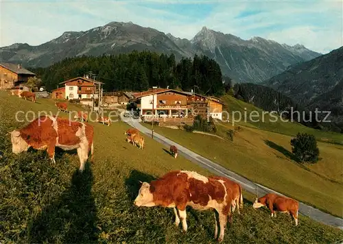 AK / Ansichtskarte Astegg_Zillertal Alpendoerfli Blick gegen Brandberger Kolm Kuehe Astegg_Zillertal
