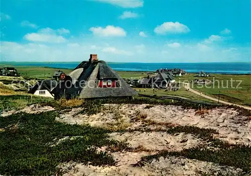 AK / Ansichtskarte Insel_Sylt Friesenhaeuser am Watt Insel_Sylt