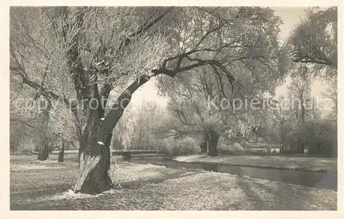 AK / Ansichtskarte Muenchen Englischer Garten Muenchen