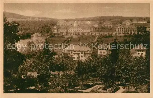 AK / Ansichtskarte Bad_Gottleuba Berggiesshuebel Stadtblick Bad