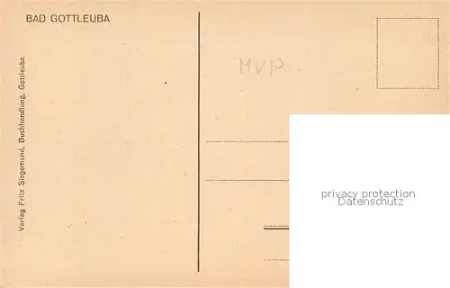AK / Ansichtskarte Bad_Gottleuba Berggiesshuebel Stadtblick Bad