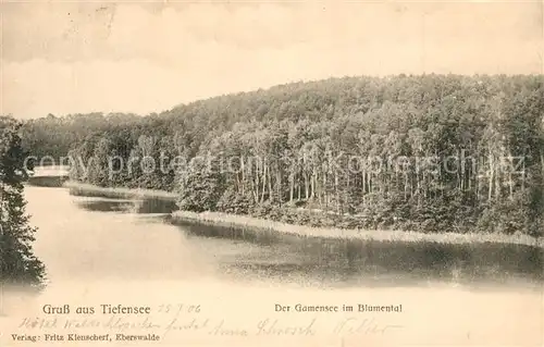 AK / Ansichtskarte Tiefensee_Bad_Freienwalde Gamensee im Blumental Tiefensee_Bad_Freienwalde