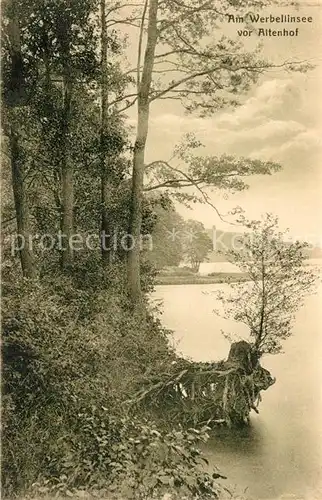 AK / Ansichtskarte Altenhof_Werbellinsee Seepanorama Altenhof Werbellinsee