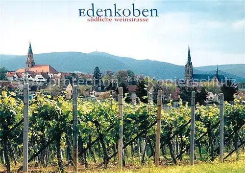 AK / Ansichtskarte Edenkoben Weinberge Kirchen Edenkoben