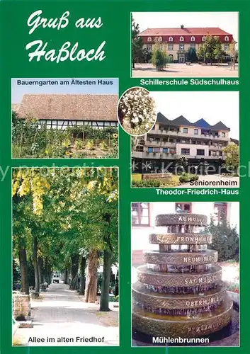 AK / Ansichtskarte Hassloch_Pfalz Bauerngarten aeltestes Haus Schillerschule Seniorenheim Muehlenbrunnen Hassloch Pfalz