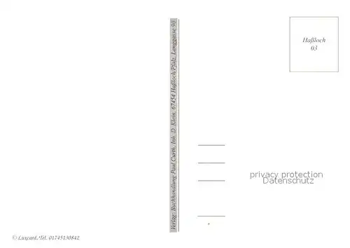 AK / Ansichtskarte Hassloch_Pfalz aeltestes Haus Innenhof Altes Rathaus Musikschule Lutherkirche Hassloch Pfalz